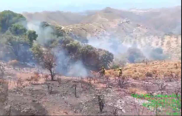 Lugar del incendio (INFOCA) Lugar del incendio (INFOCA)