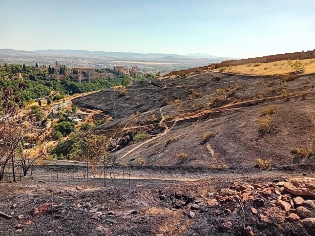 Estado del terreno afectado por el incendio (INFOCA) Estado del terreno afectado por el incendio (INFOCA)