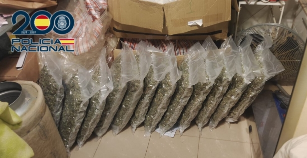 Marihuana incautada (POLICÍA NACIONAL) Marihuana incautada (POLICÍA NACIONAL)