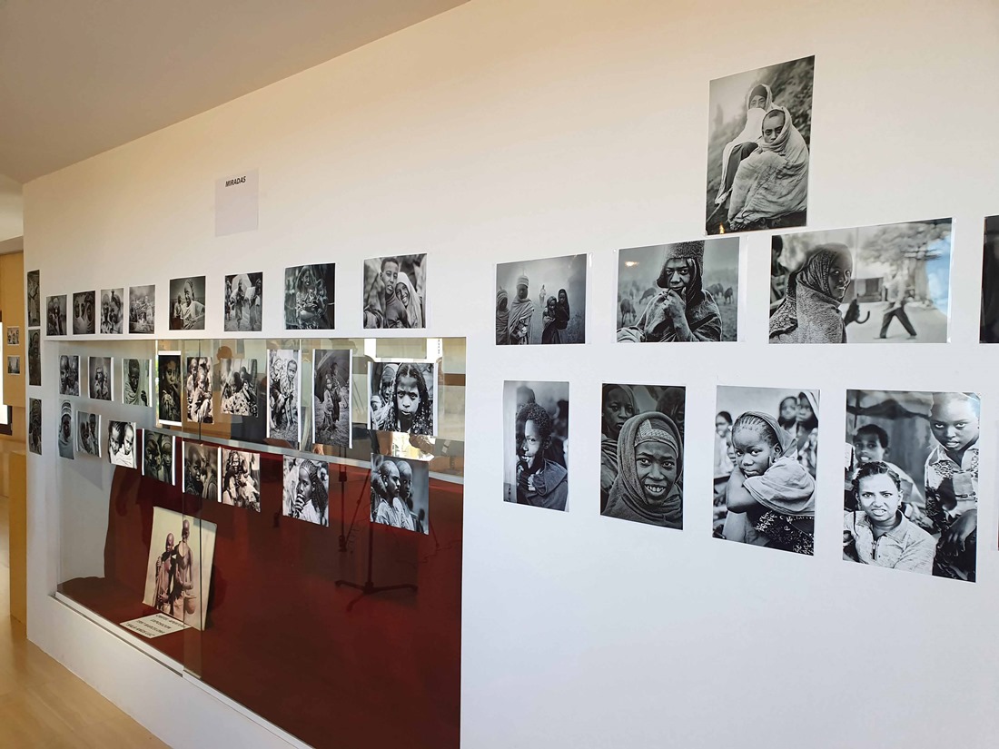 (AYUNTAMIENTO GUADIX)