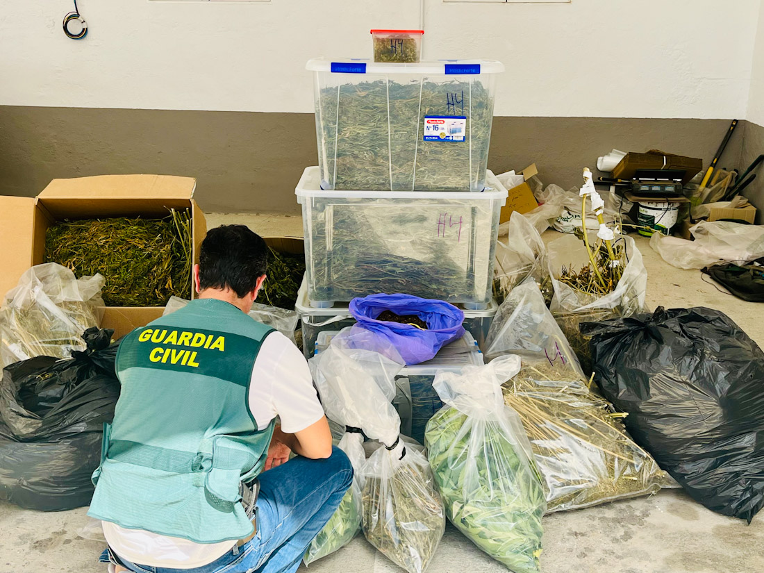 Agente de la Guardia Civil con la marihuana incautada (GUARDIA CIVIL)