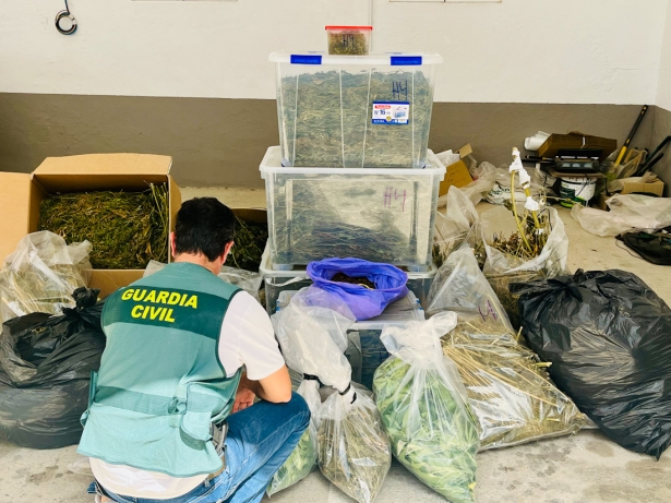 Agente de la Guardia Civil con la marihuana incautada (GUARDIA CIVIL) Agente de la Guardia Civil con la marihuana incautada (GUARDIA CIVIL)