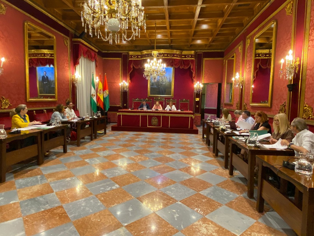 Comisión Economía (AYTO. GRANADA)