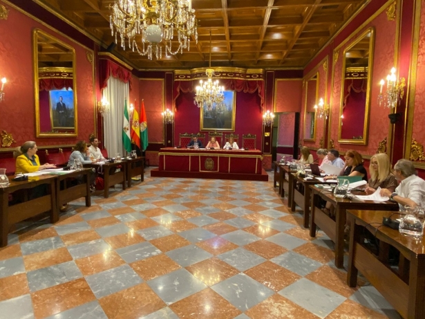 Comisión Economía (AYTO. GRANADA)