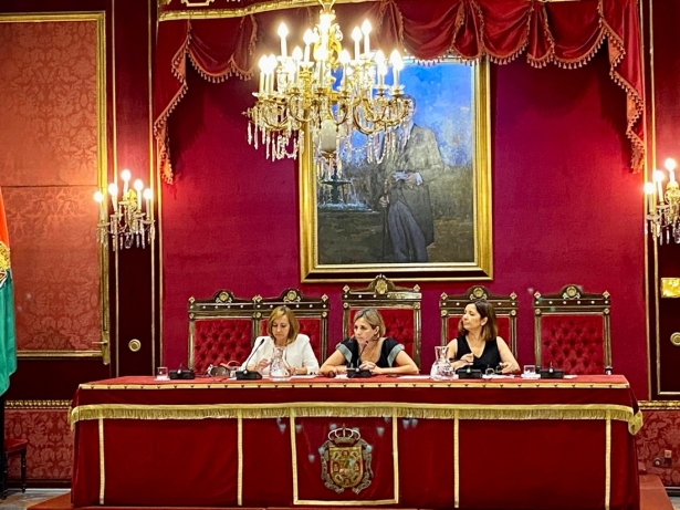 Comisión de derechos sociales (AYTO. GRANADA)