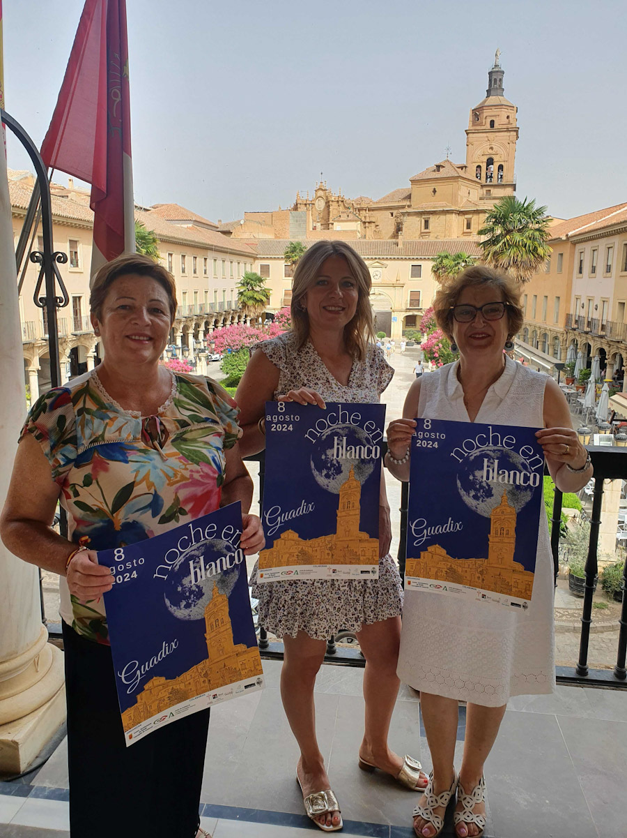 Presentación de La noche en blanco (AYTO. GUADIX)