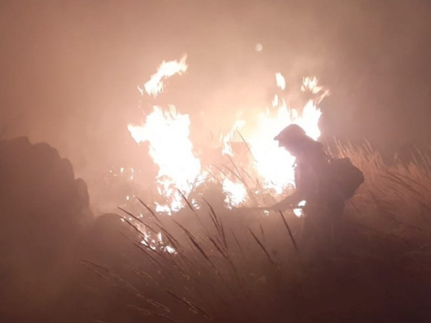 Incendio en Pinos Puente (INFOCA) Incendio en Pinos Puente (INFOCA)