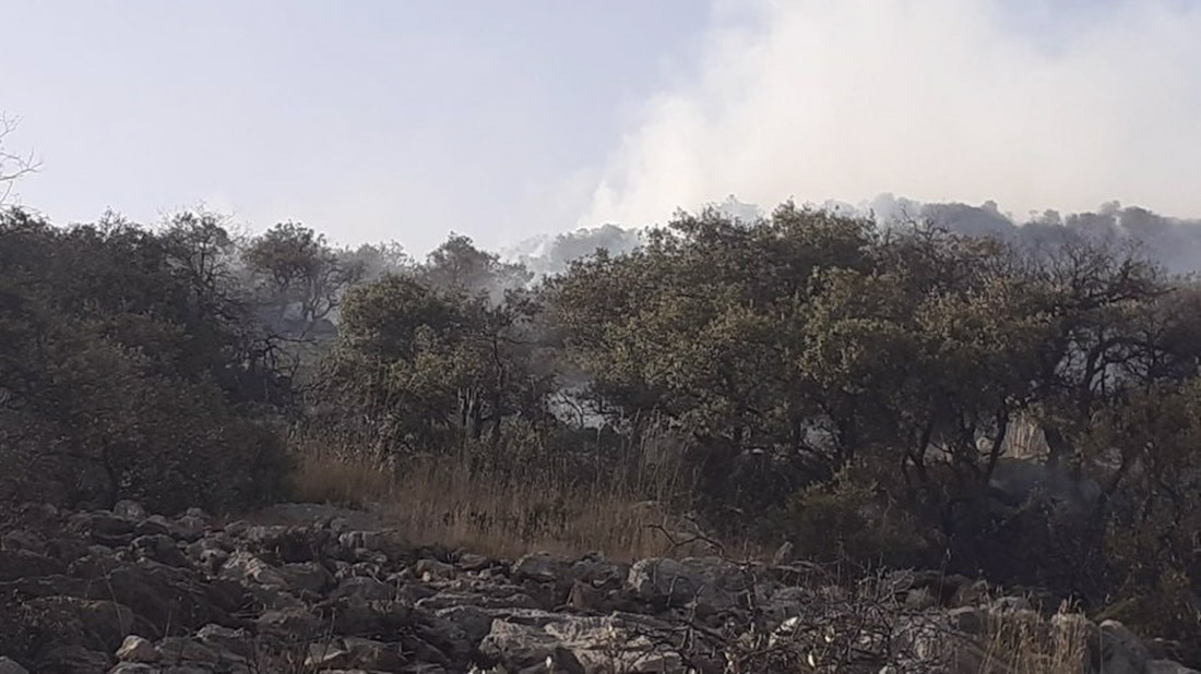 Imagen de archivo del Incendio forestal en Iznalloz (INFOCA)