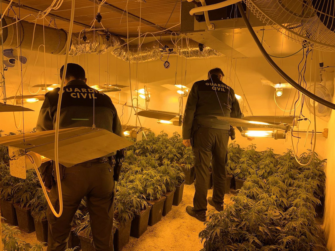 Operación contra el cultivo de marihuana en el área metropolitana de Granada, en una imagen de archivo (GUARDIA CIVIL)