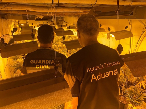 Centro de producción de marihuana desarticulado en Padul (GUARDIA CIVIL)