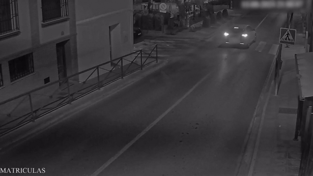 La Guardia Civil localizó la matrícula del coche que arrolló a la mujer en un paso de peatones cuando lo cruzaba ayudada por un andador (GUARDIA CIVIL)