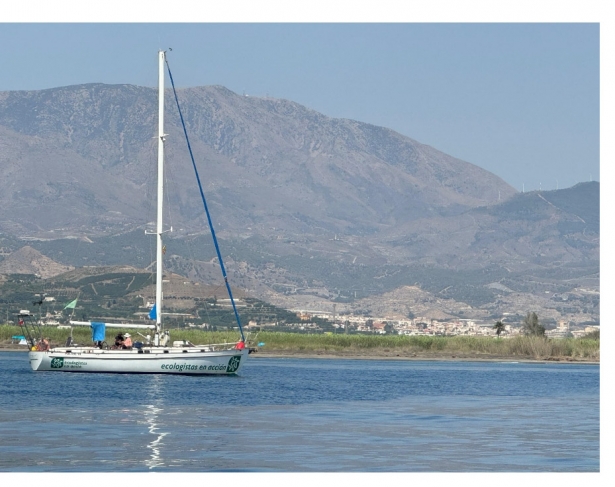 (ECOLOGISTAS EN ACCIÓN)