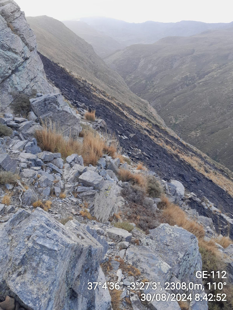 Lugar del incendio (INFOCA)