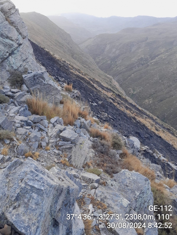 Lugar del incendio (INFOCA) Lugar del incendio (INFOCA)