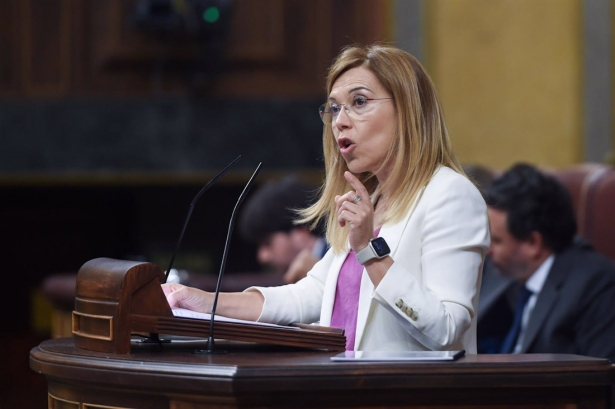 La vicesecretaria de Igualdad, Conciliación y Política Social del PP, Ana Alós interviene durante una sesión plenaria, en el Congreso de los Diputados (GUSTAVO VALIENTE - EUROPA PRESS)
