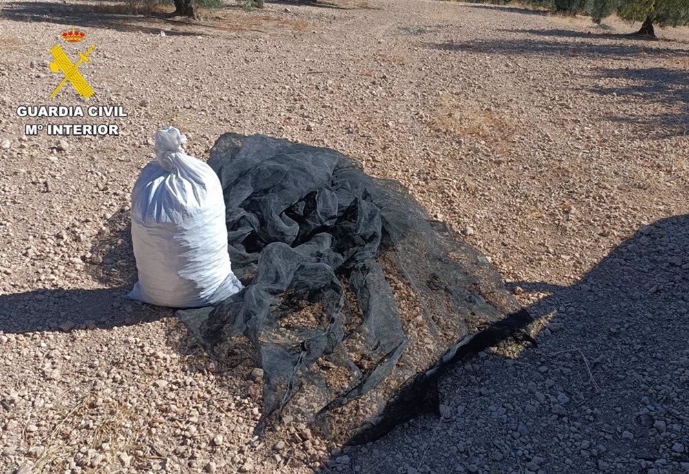 Almendras recuperadas. (GUARDIA CIVIL)