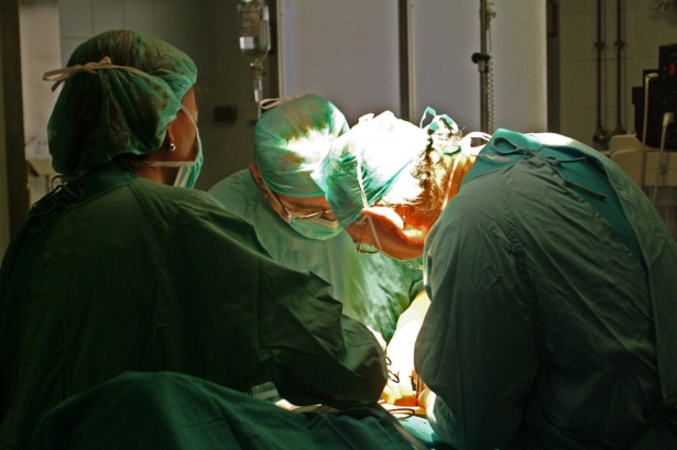 Realización de un transplante (JUNTA)