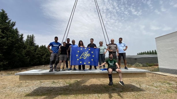 (LIFE WOOD FOR FUTURE)