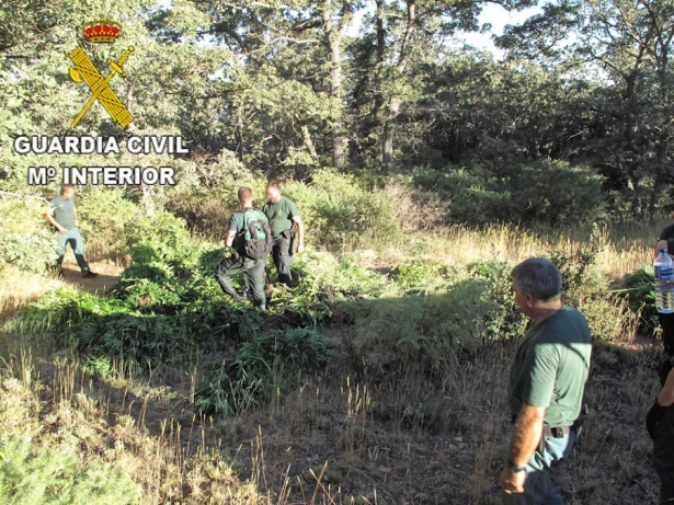 Imagen de archivo de una intervención en la Alpujarra de Granada (GUARDIA CIVIL)