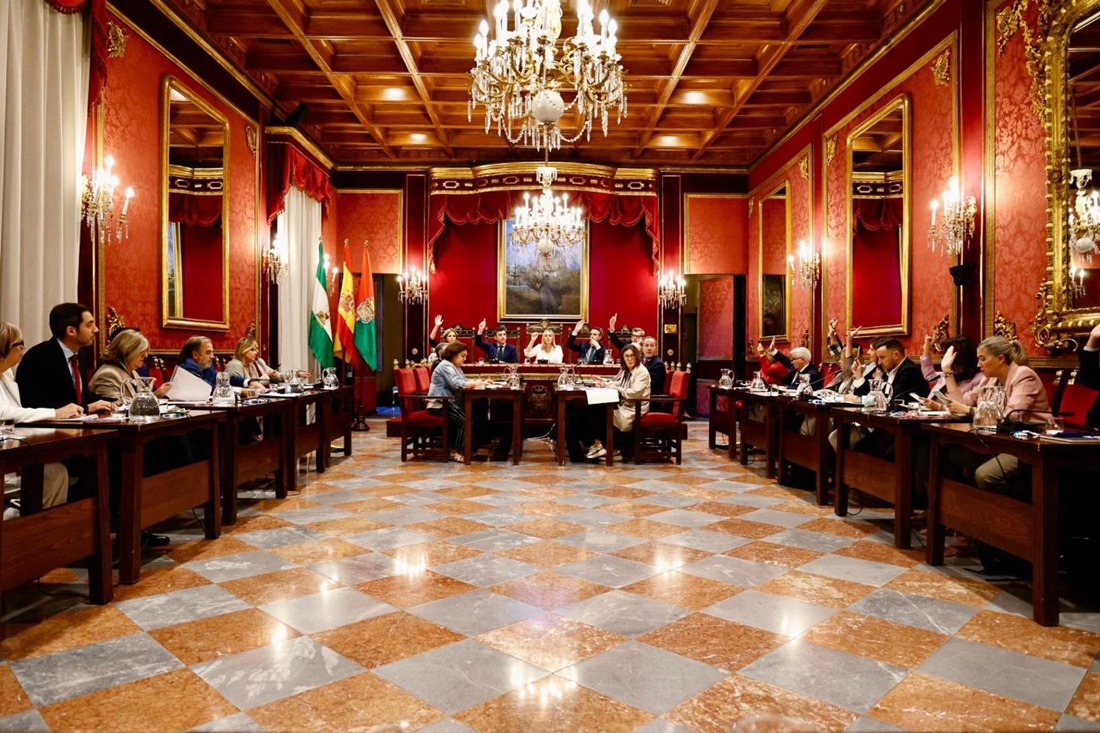 Pleno del ayuntamietno de Granada )AYTO. GRANADA)