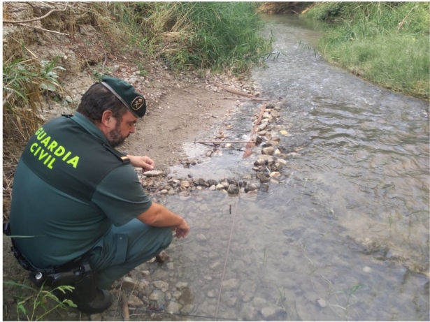 (GUARDIA CIVIL) (GUARDIA CIVIL)