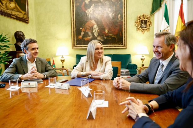 Imagen de la reunión (AYTO. GRANADA)