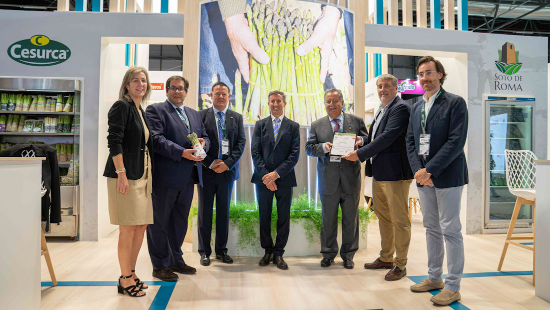 Presentación de la alianza para promocionar el espárrago verde morado (FAECA)