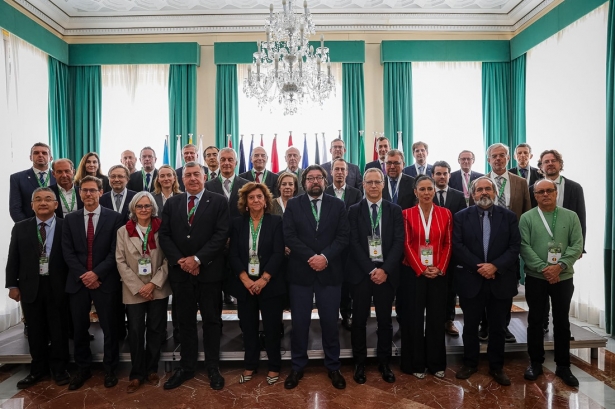 Foto de familia tras la reunión (IFMIF-DONES)