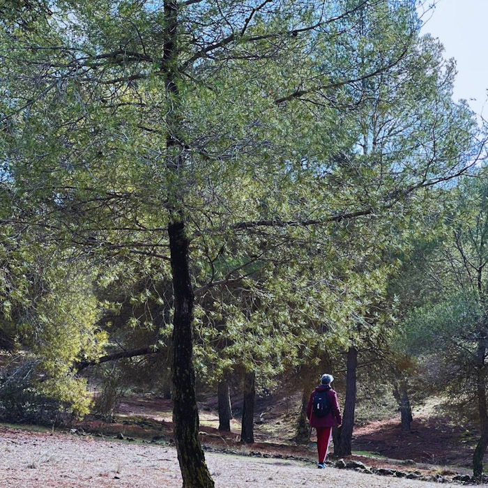 (AYUNTAMIENTO LA ZUBIA (