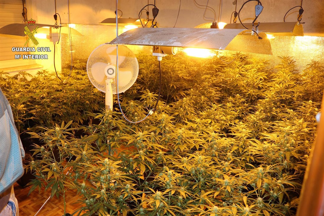 Plantación `indoor` de marihuana desmantelada por la Guardia Civil. Archivo. (EUROPA PRESS)