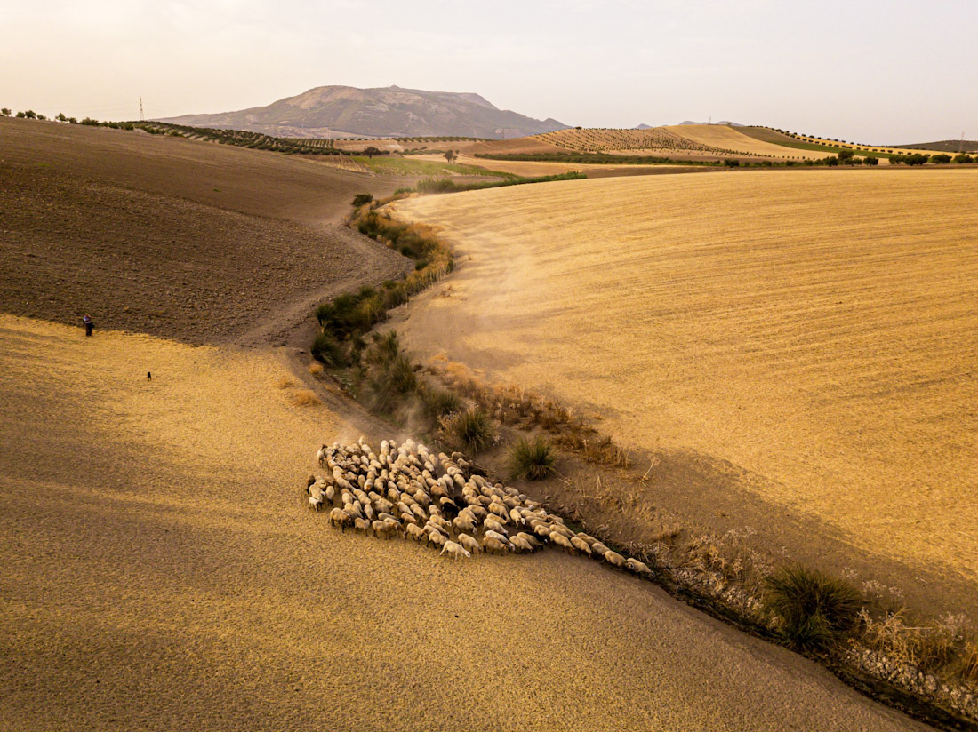 Imagen ganadora (CAJA RURAL)