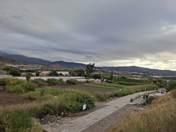 (AYUNTAMIENTO MOTRIL)