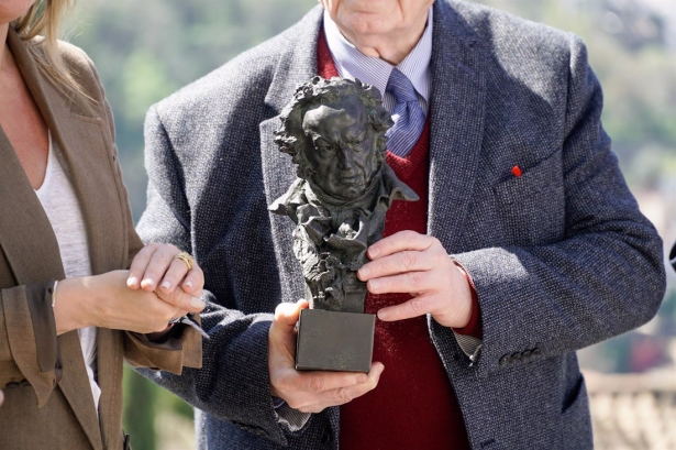 Detalle del premio durante la presentación de la 39ª edición de los Premios Goya en el Mirador de San Nicolás (ARSENIO ZURITA) Detalle del premio durante la presentación de la 39ª edición de los Premios Goya en el Mirador de San Nicolás (ARSENIO ZURITA)