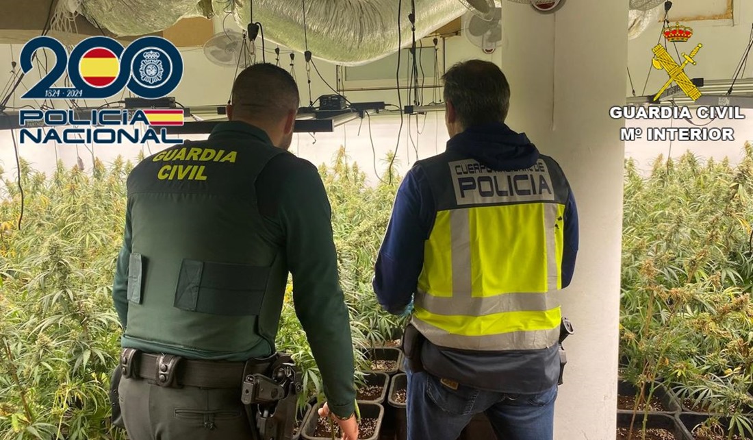 Operación antidroga en Ogijares (POLICIA NACIONAL)