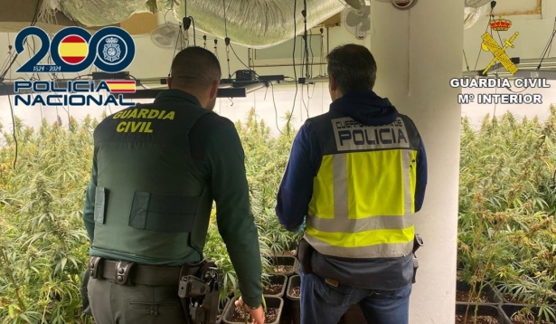 Operación antidroga en Ogijares (POLICIA NACIONAL) Operación antidroga en Ogijares (POLICIA NACIONAL)