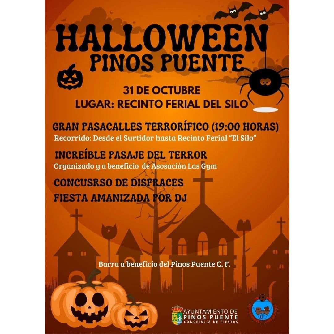 (AYUNTAMIENTO PINOS PUENTE)