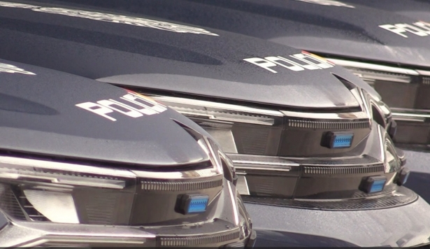 Imagen de archivo de la Policía Nacional (POLICÍA NACIONAL) Imagen de archivo de la Policía Nacional (POLICÍA NACIONAL)