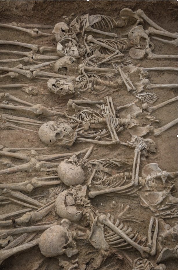 (EASD JOSE VAL DE OMAR) (EASD JOSE VAL DE OMAR)