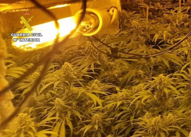 Imagen de archivo de una plantación de marihuana desmantelada por Guardia Civil (GUARDIA CIVIL)