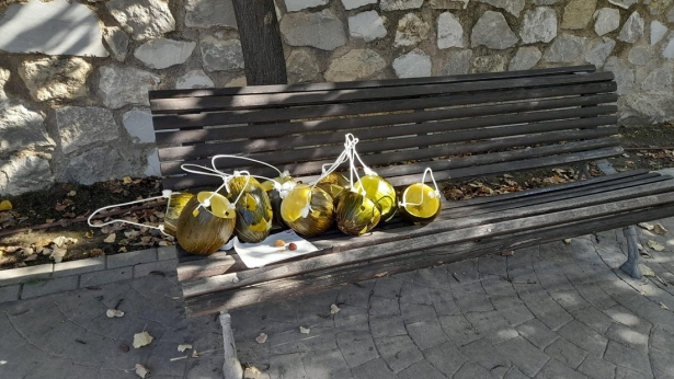 (AYUNTAMIENTO MONACHIL)