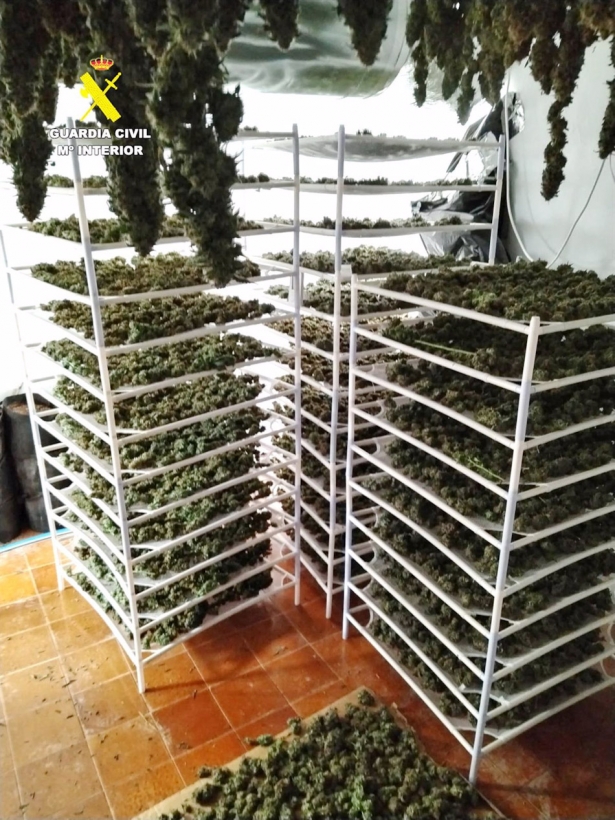 Marihuana intervenida en Loja (GUARDIA CIVIL( Marihuana intervenida en Loja (GUARDIA CIVIL(