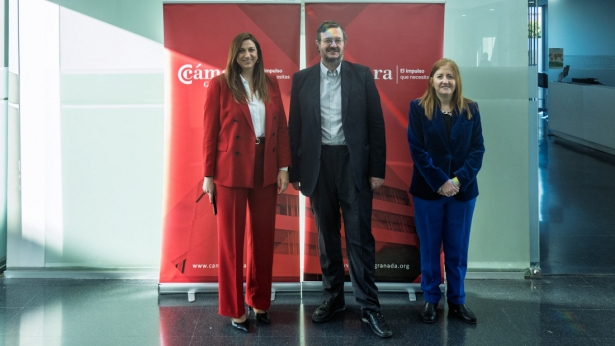 Participantes de la reunión (CÁMARA GRANADA)
