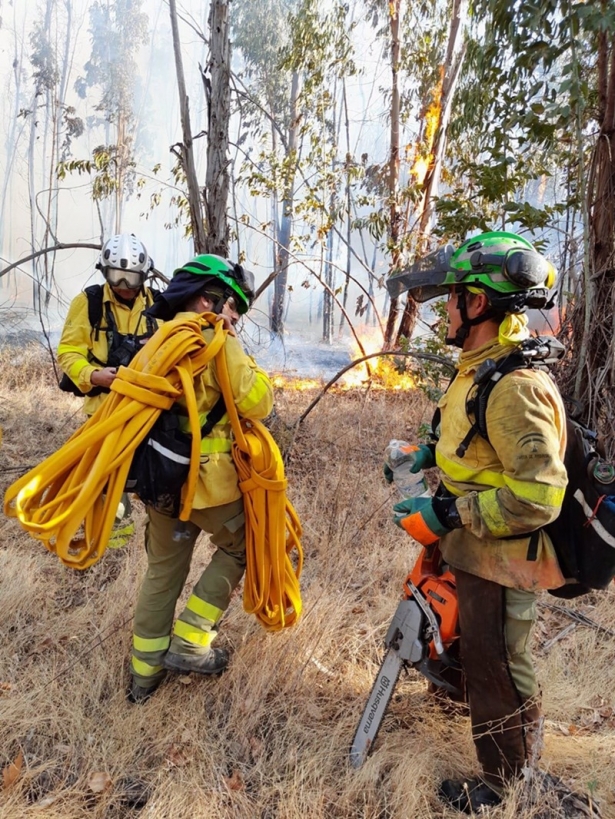 Efectivos del Plan Infoca en una imagen de archivo. (PLAN INFOCA)