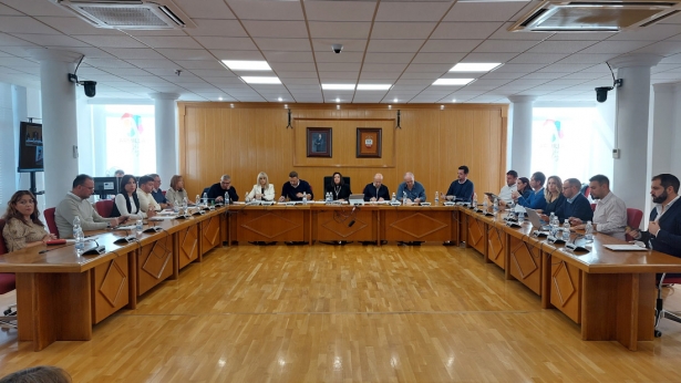 Pleno del Ayuntamiento de Armilla (AYTO. ARMILLA)