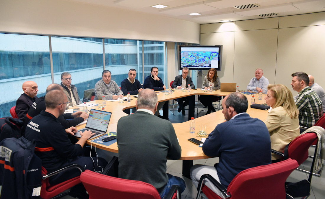 Imagen de la reunión (DIPGRA)