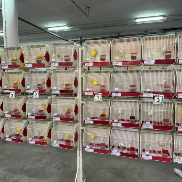 (AYUNTAMIENTO HUÉTOR TÁJAR) (AYUNTAMIENTO HUÉTOR TÁJAR)