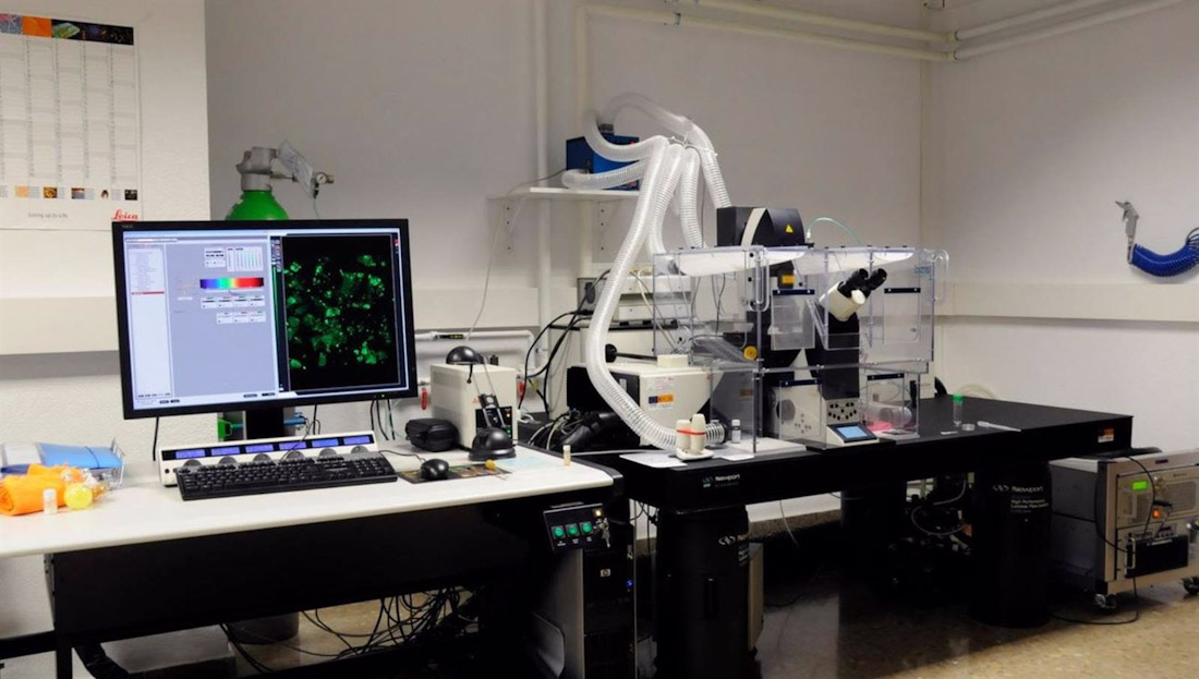 Laboratorio (UNIVERSIDAD DE GRANADA)