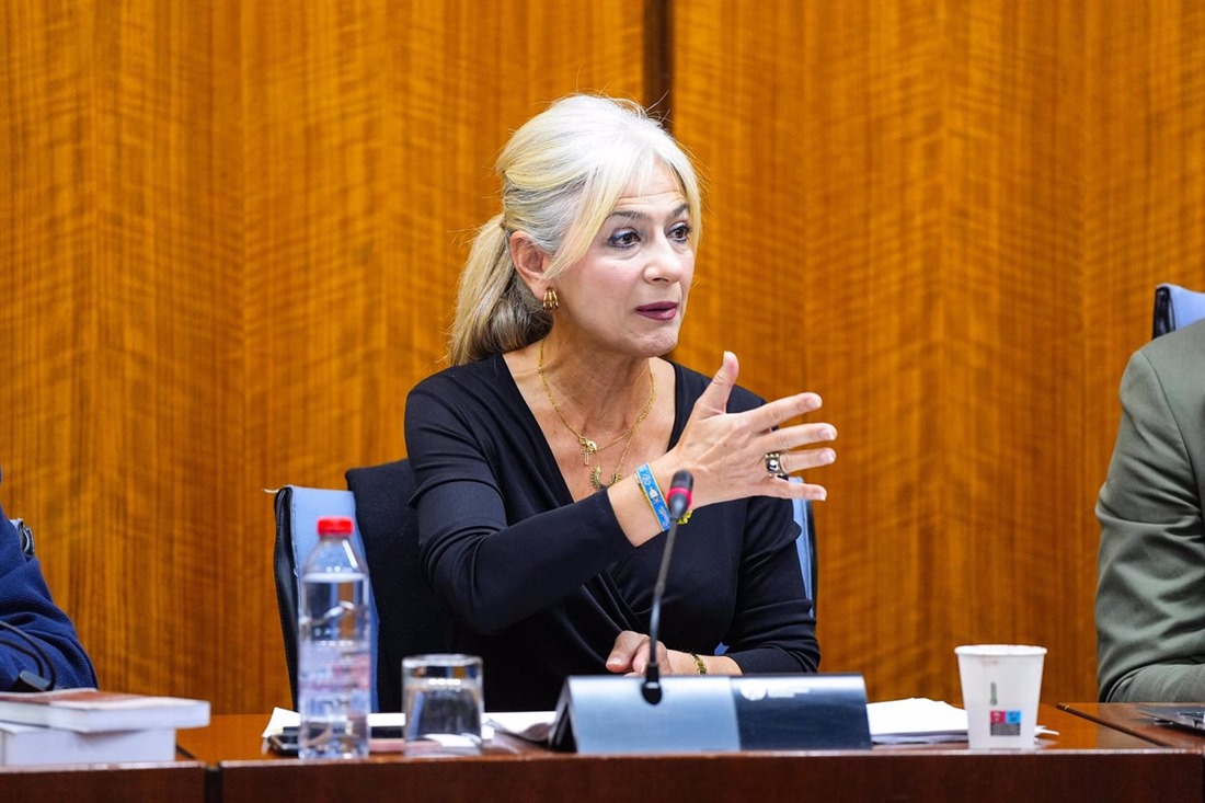 La consejera de Cultura y Deporte, Patricia del Pozo, en comisión parlamentaria el 19 de noviembre de 2024. (JOAQUÍN CORCHERO/PARLAMENTO DE ANDALUCÍA)