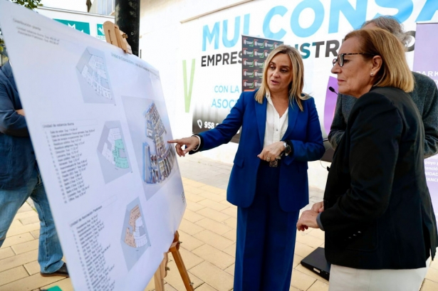 Presentación del proyecto de la sede de estancia diurna de la Asociación del Parkinson (AYTO. GRANADA)