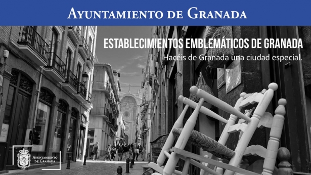 (AYUNTAMIENTO GRANADA)